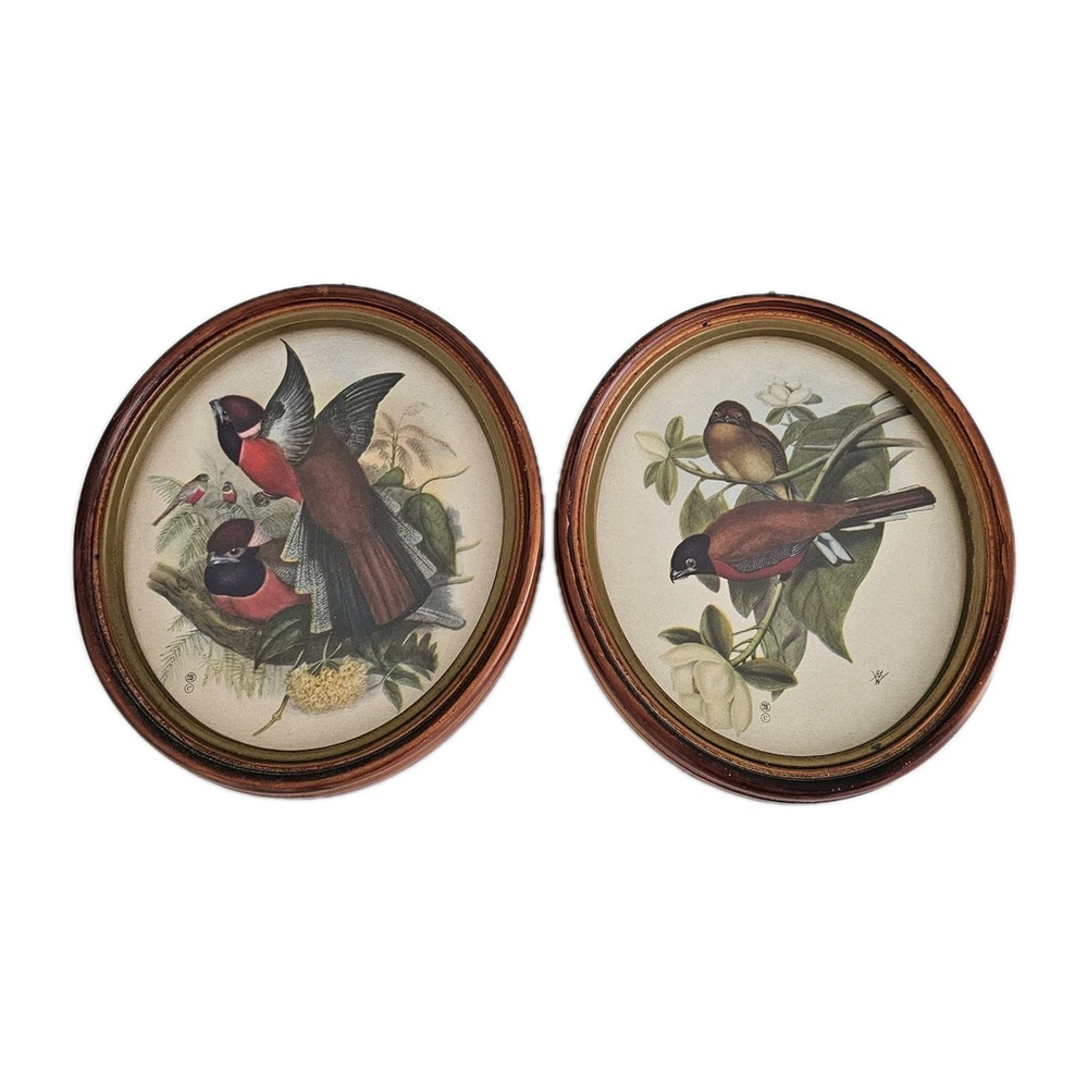 VTG Hope Novelty Co Detroit Oval Bird Prints Wood Frames Set of 2 6.5" x 7.5" - Picture 12 of 13